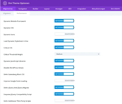 divi theme performance einstellungen